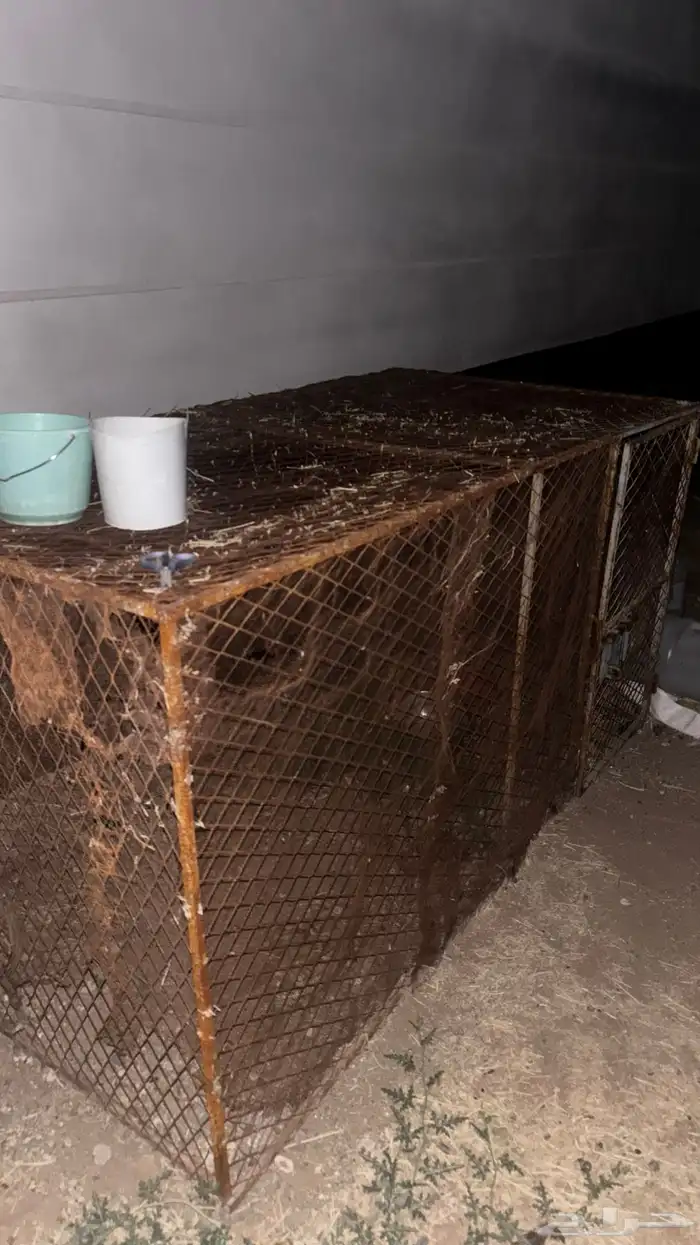 شبك دجاج تفصيل 0