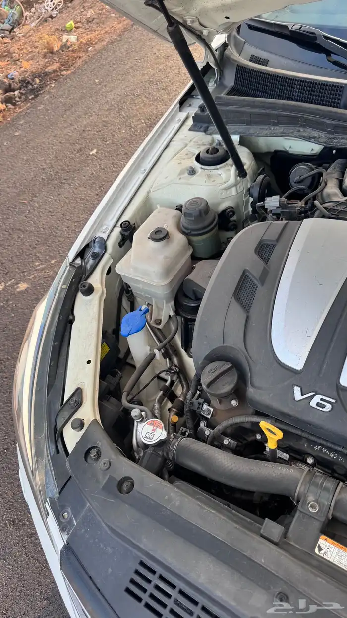 كادينزا 2011 فل كامل 5