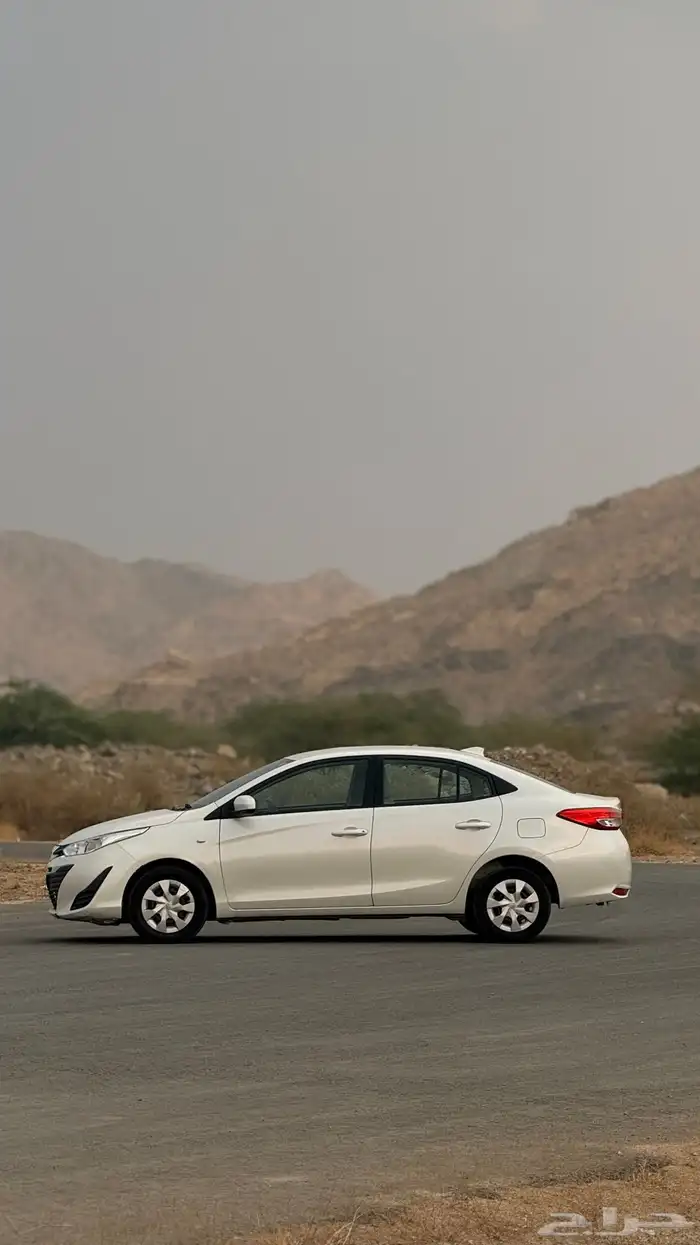 يارس قمة في النضافة الممشى 164 1