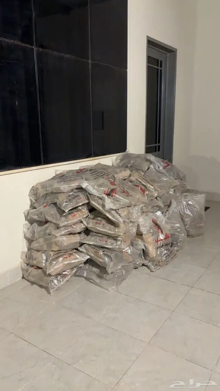 حطب زيتون افريقي 0