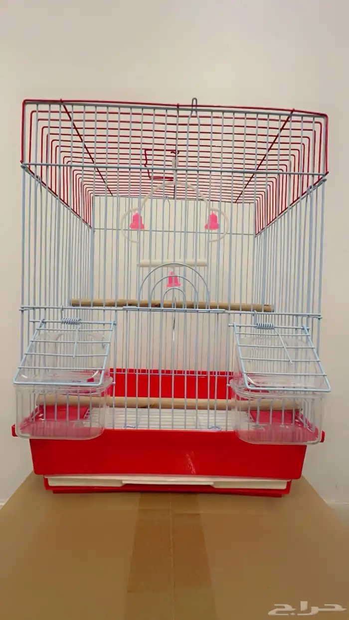 روز اليف آمن على الاطفال 2