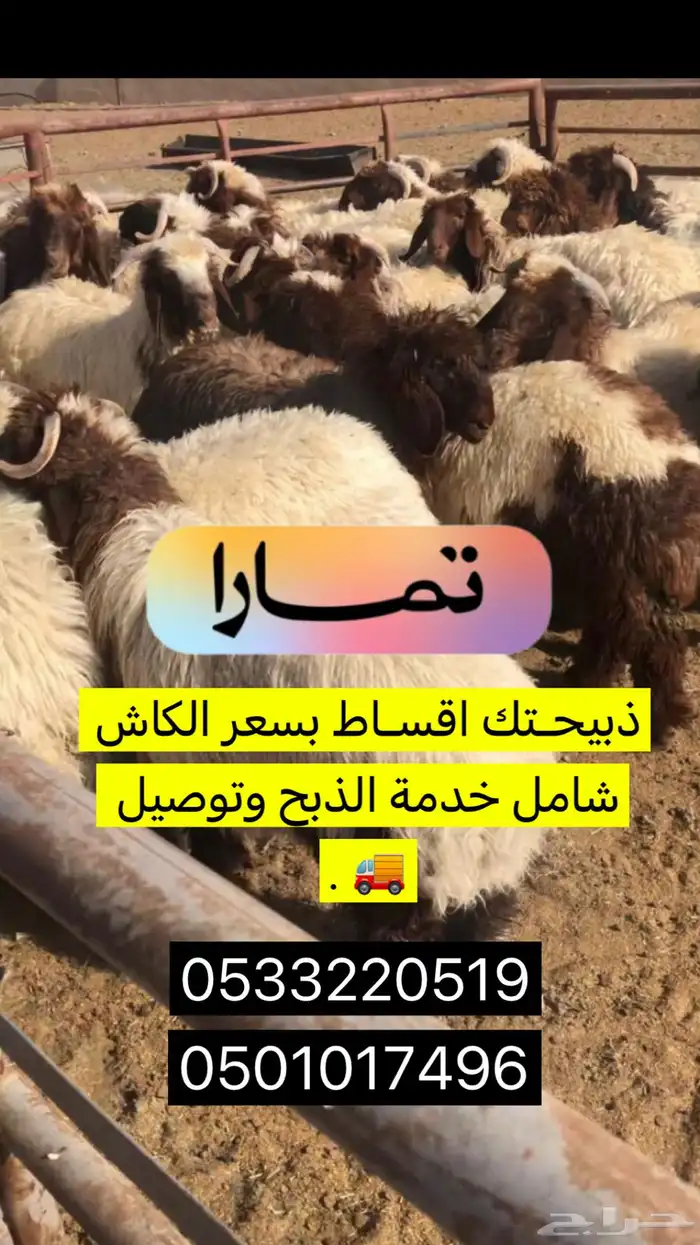 ذبايح نعيمي مع ذبح وتوصيل ومتوفر تمارا 0