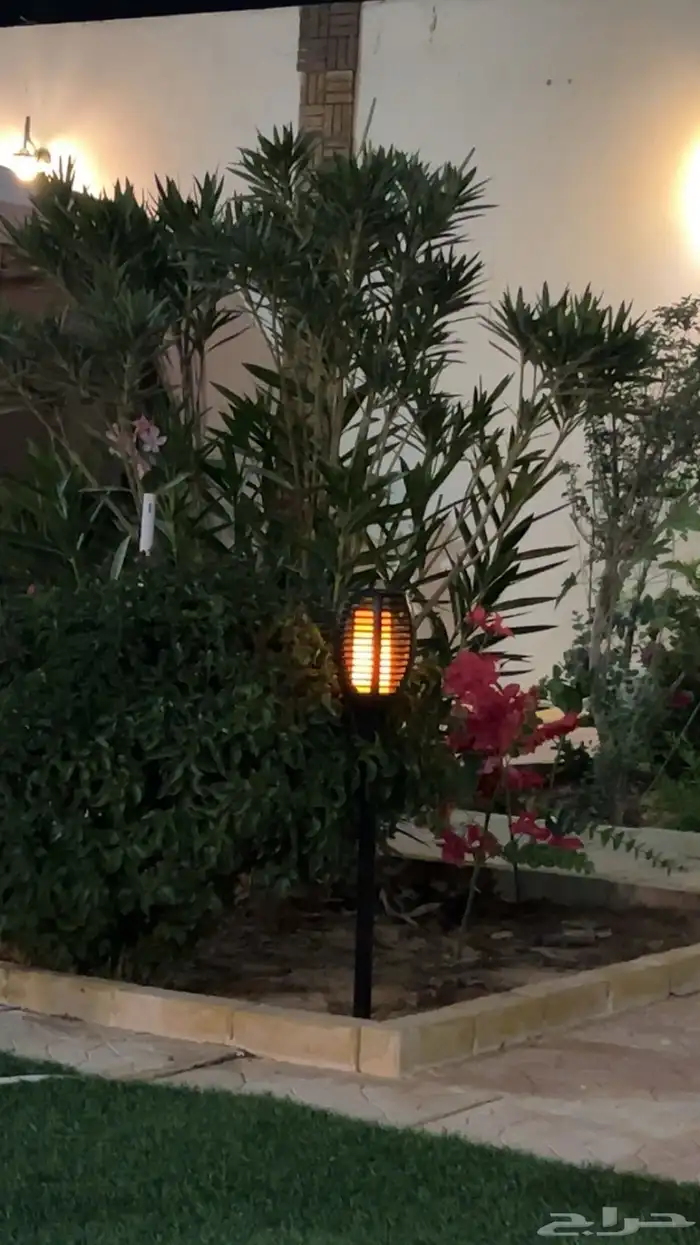 شاليه استراحه للايجار 27