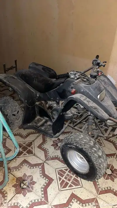 دباب للبيع index