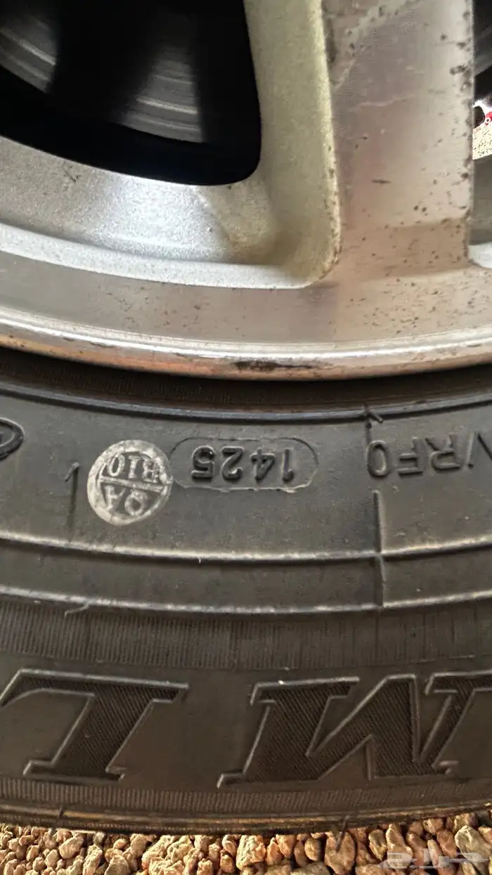 اكسبدشن 2013 8