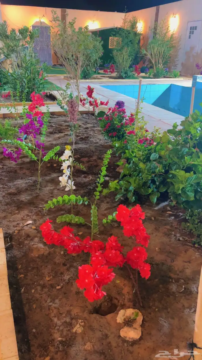 شاليه استراحه للايجار 47