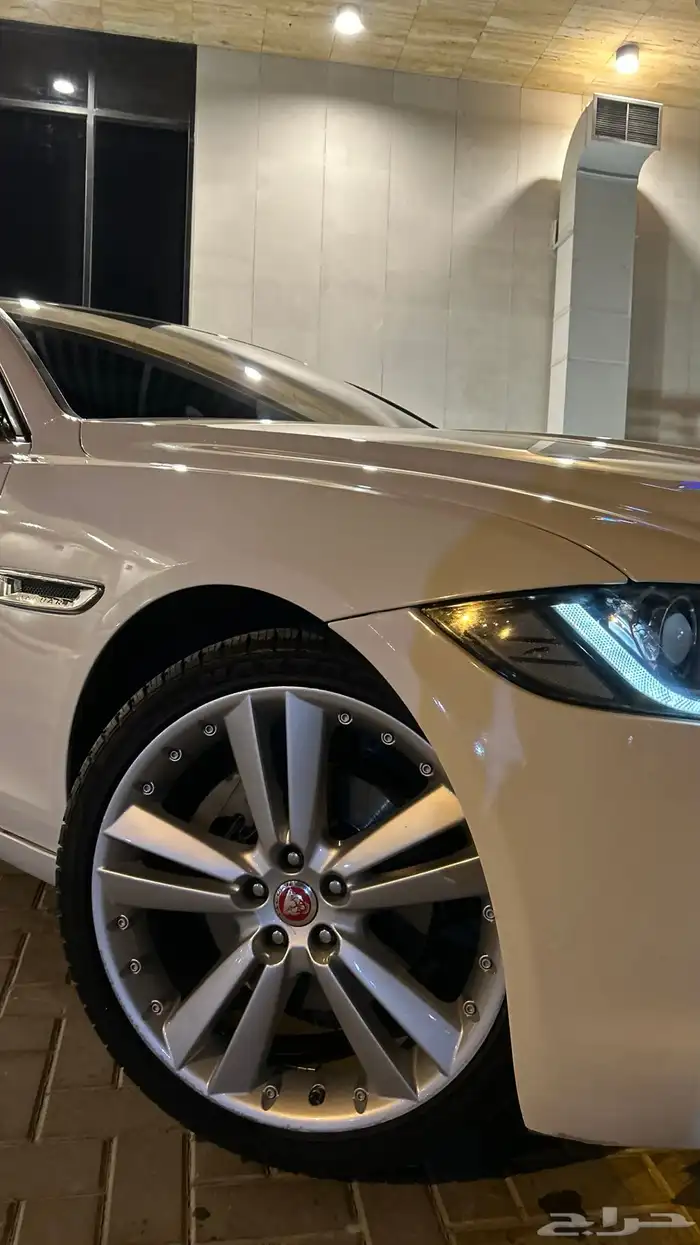 جاكور xf 2016 1