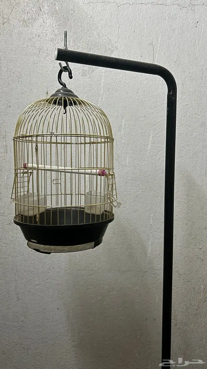 قفص طيور 2