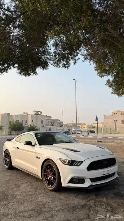 موستنق 5.0 index