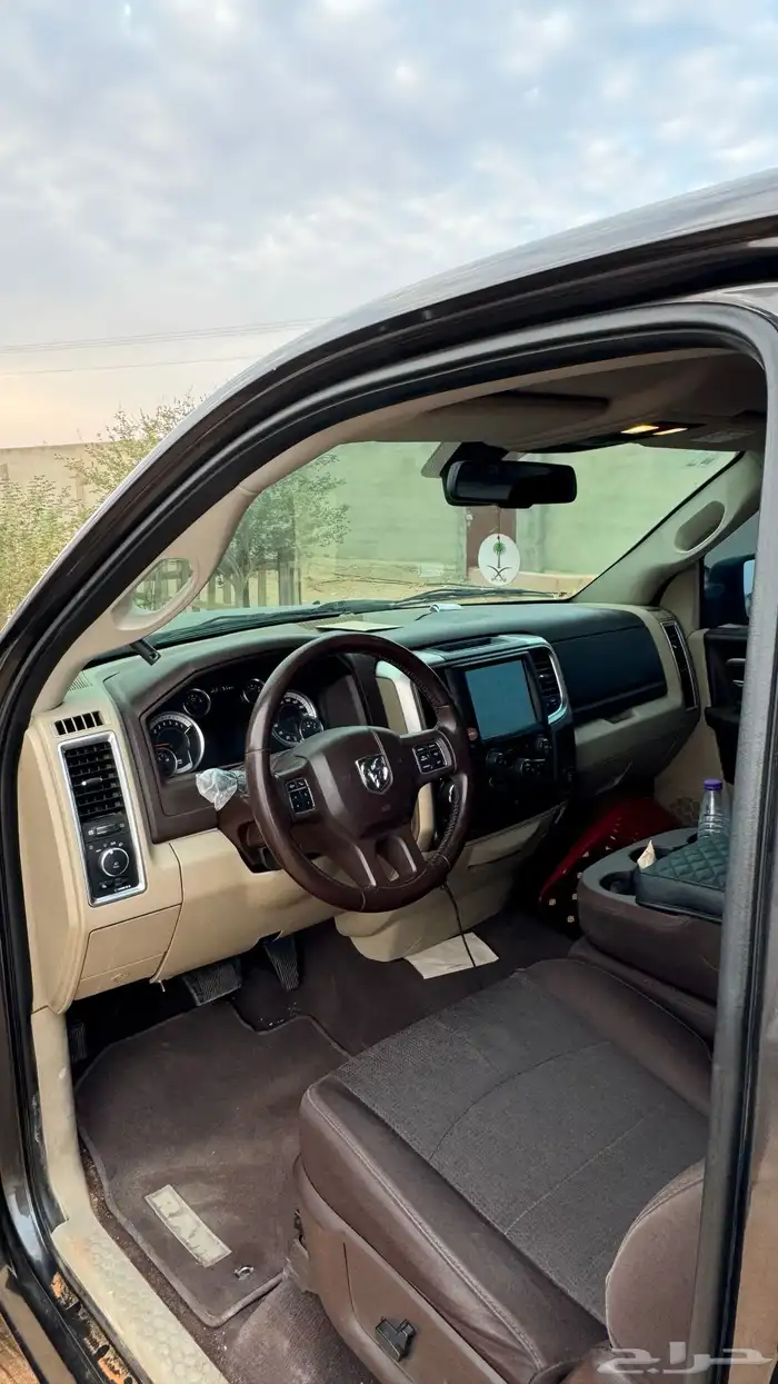 رام بق هورن نظيف للبيع 7