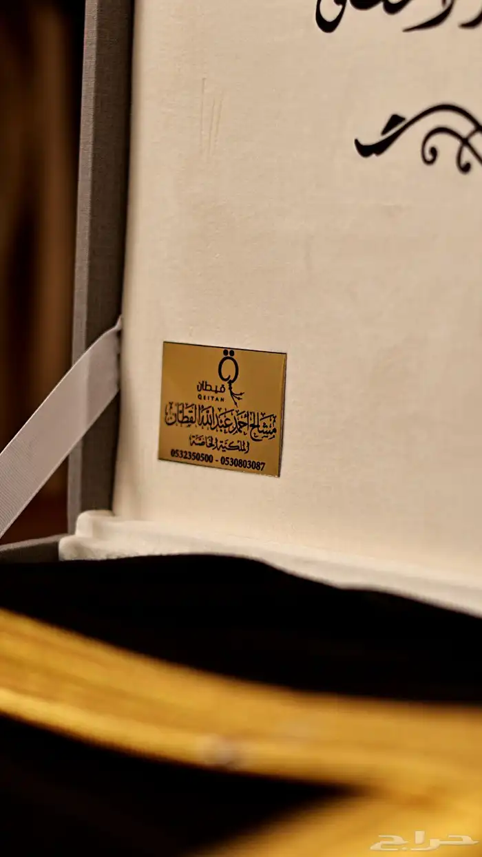 جلسة تصوير بكاميرا إحترافية 9