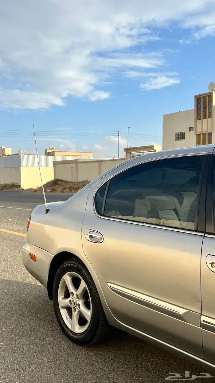 مكسيما 2008 للبيع 6