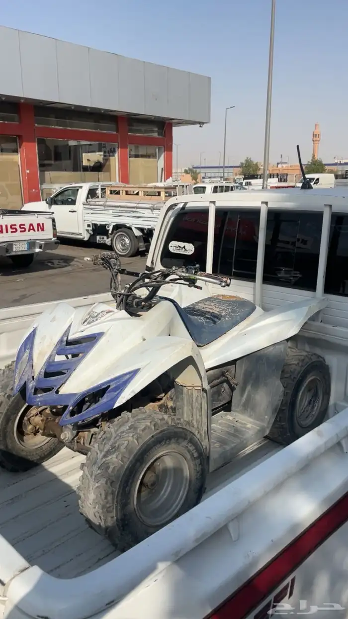 دباب تايقر الاصلي 0