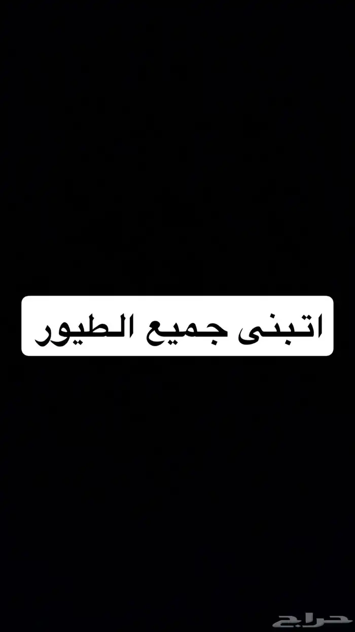 طيور اتبنى جميع الطيور 0