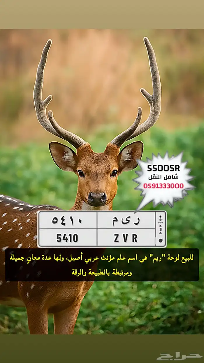 لوحة اسم مميز ريم 0