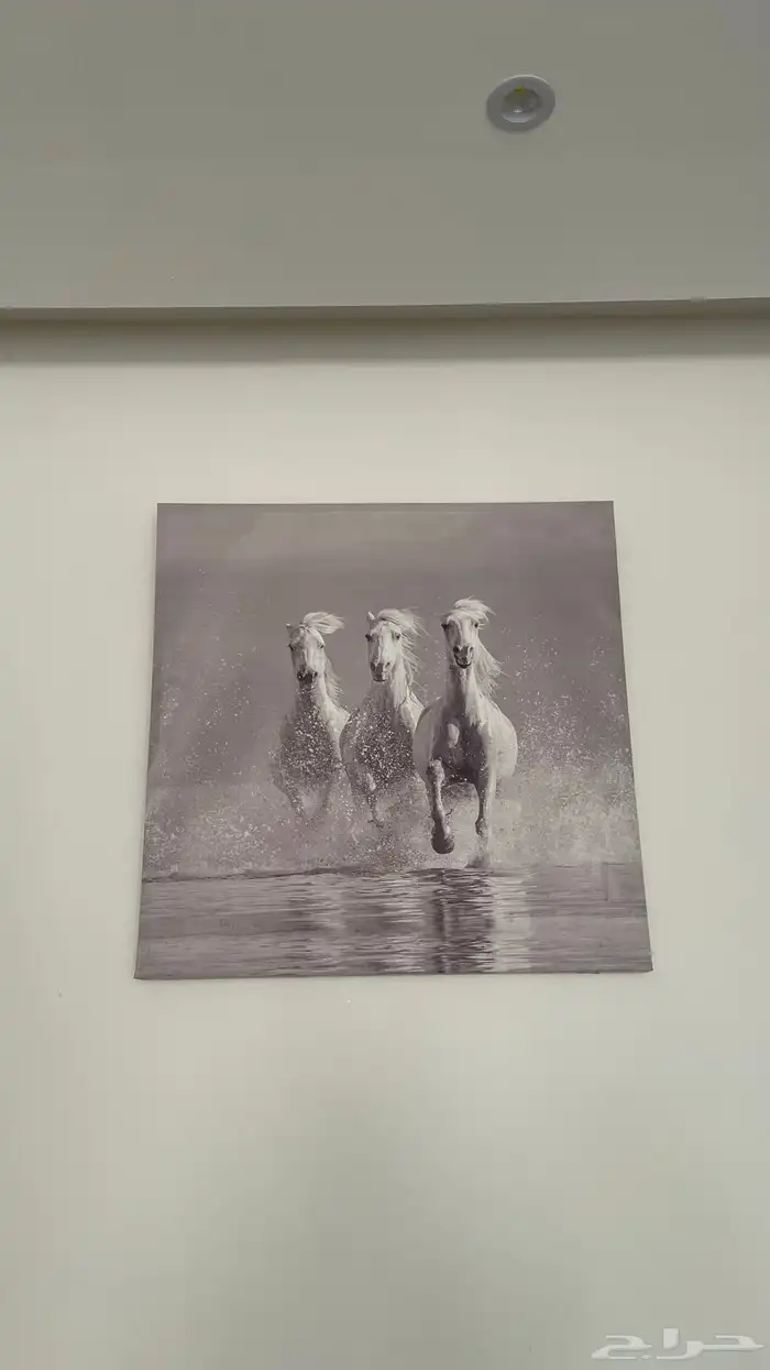 لوحة خيل 0
