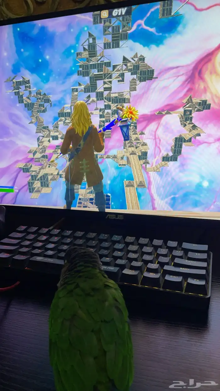 شاشه قيمنق من اسوس 280 hz 0