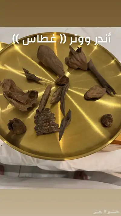 نوادر المروكي الحي index