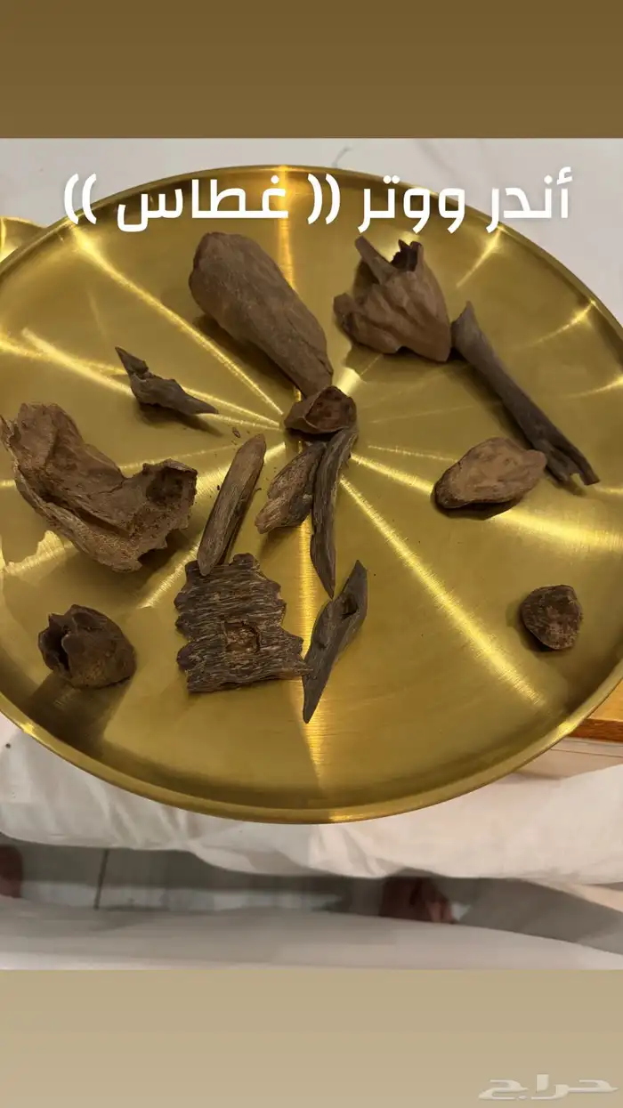 نوادر المروكي الحي 5