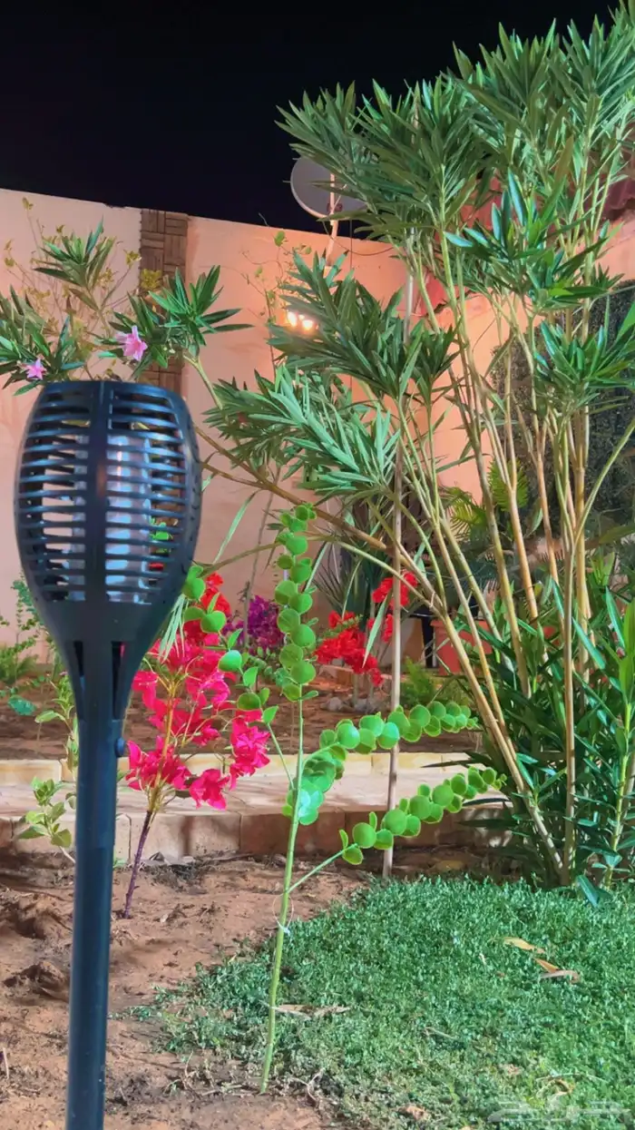 شاليه استراحه للايجار 57