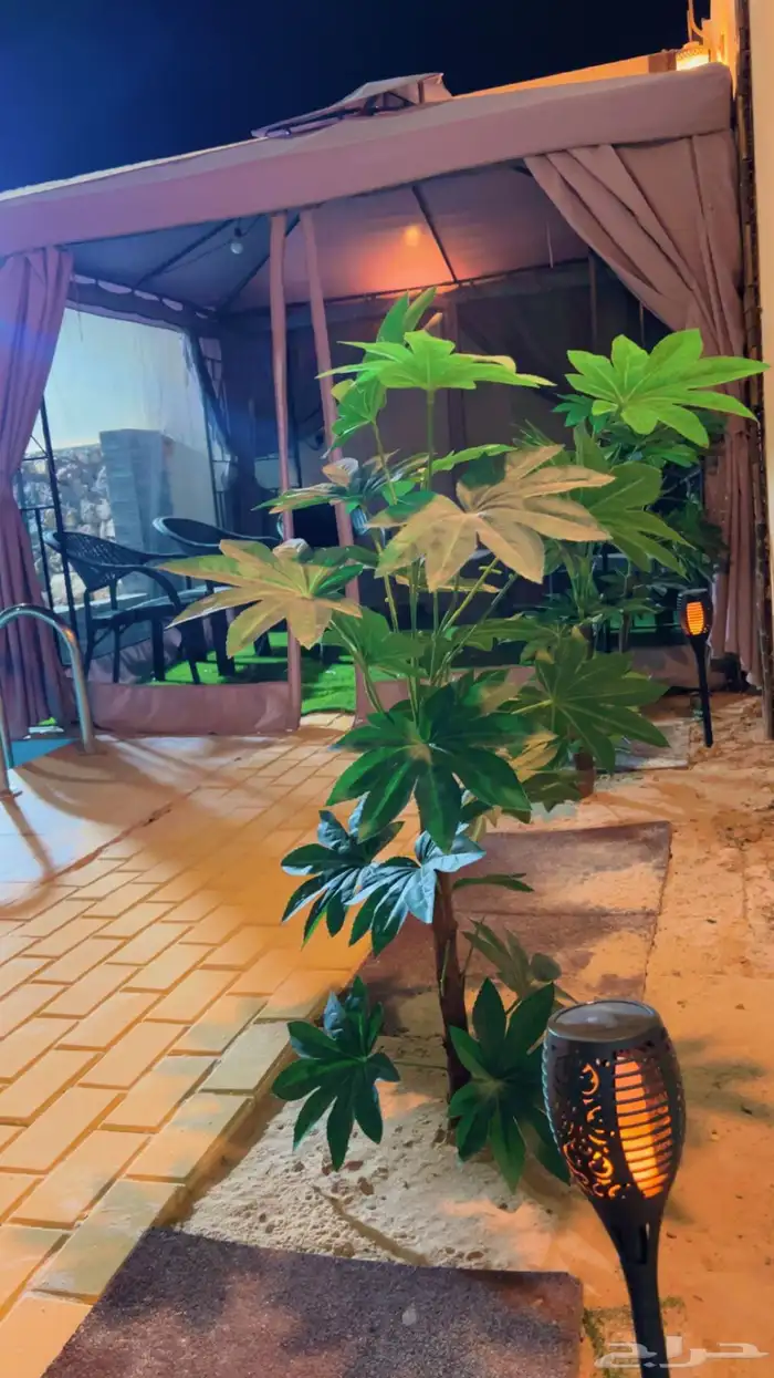 شاليه استراحه للايجار 32