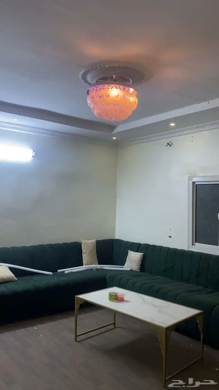 شعبي للبيع 0