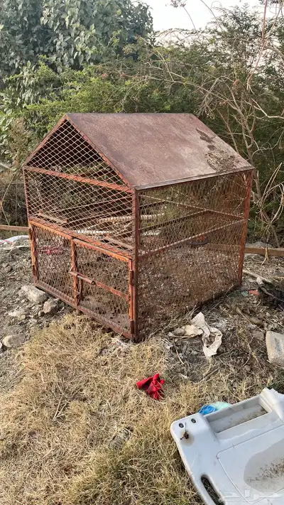 صندقه او شبك طيور وغيره index