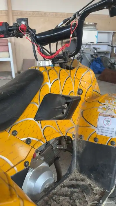 دباب للبيع index