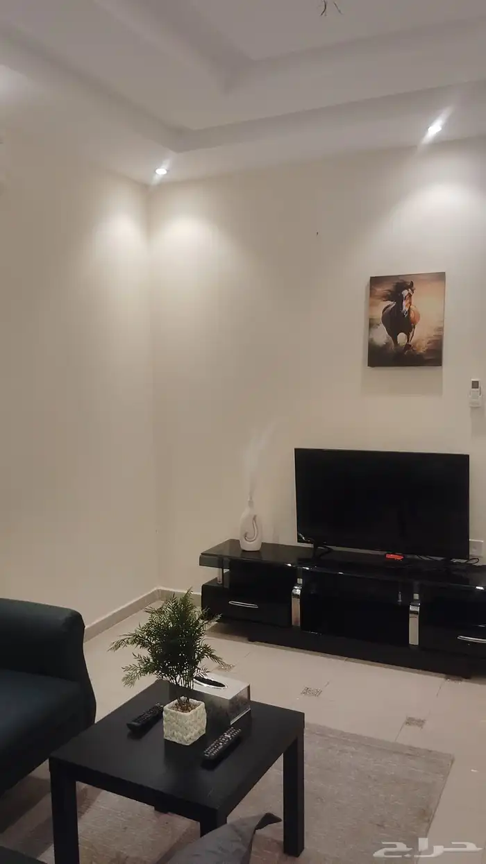 استديو غرفة و صالة مفروشة في حي المروة جدة 3