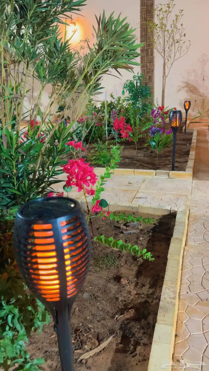 شاليه استراحه للايجار 51