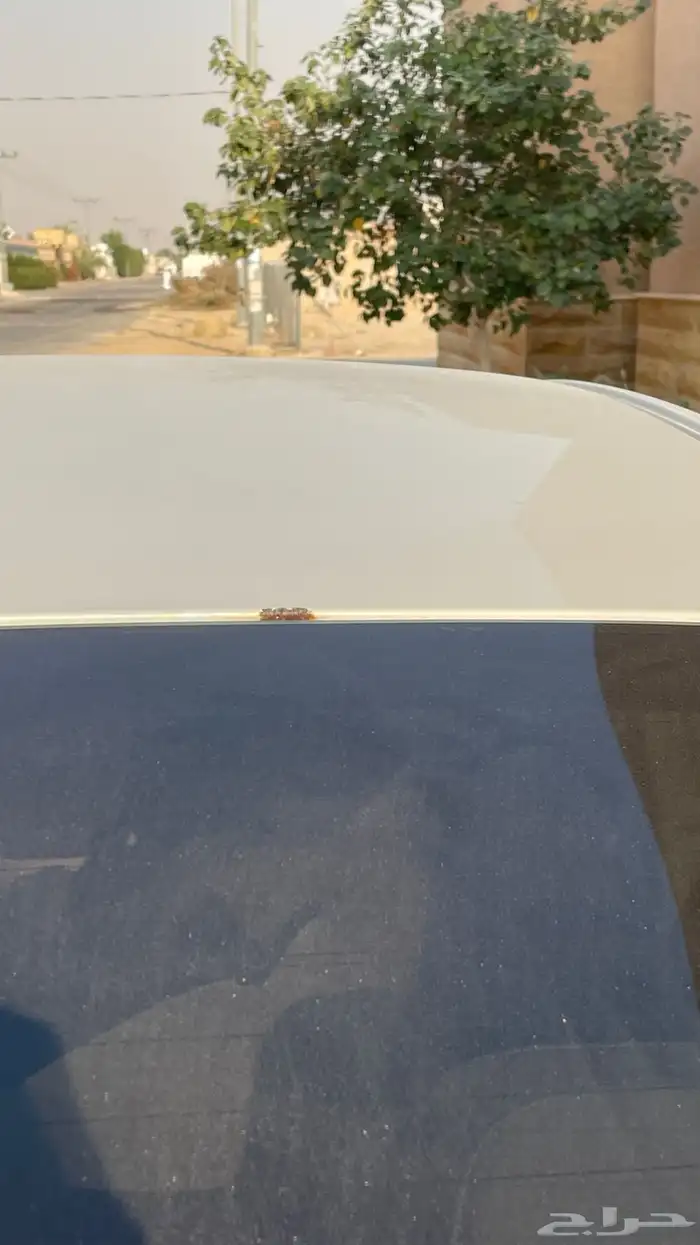 نيسان سنترا 2019 ( مكينة كبيرة   مثبت سرعة ) 18