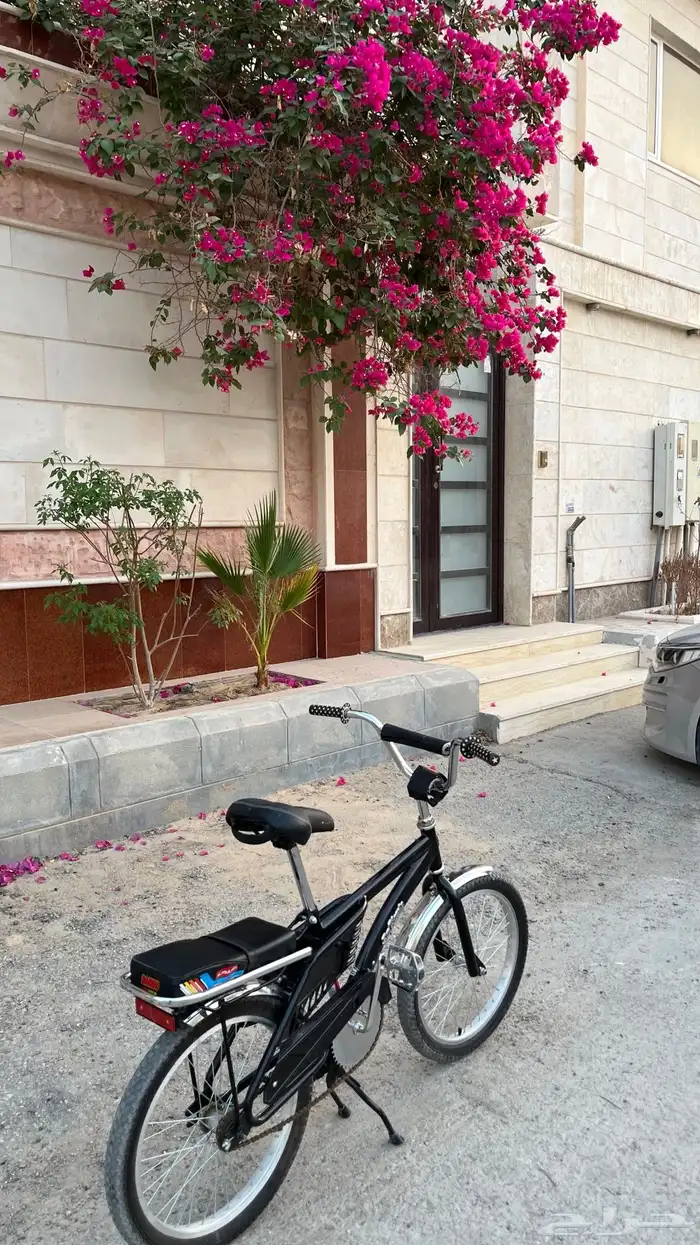 سيكل رامبو 2