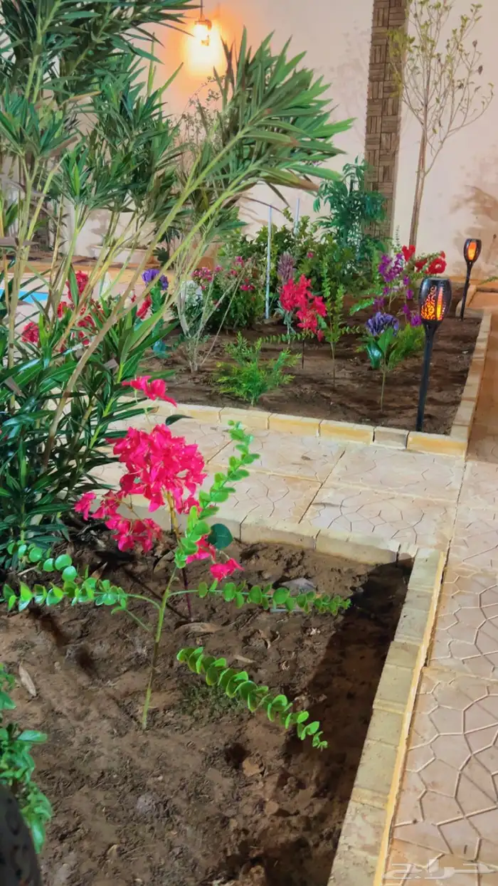 شاليه استراحه للايجار 50