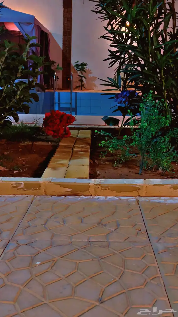 شاليه استراحه للايجار 13