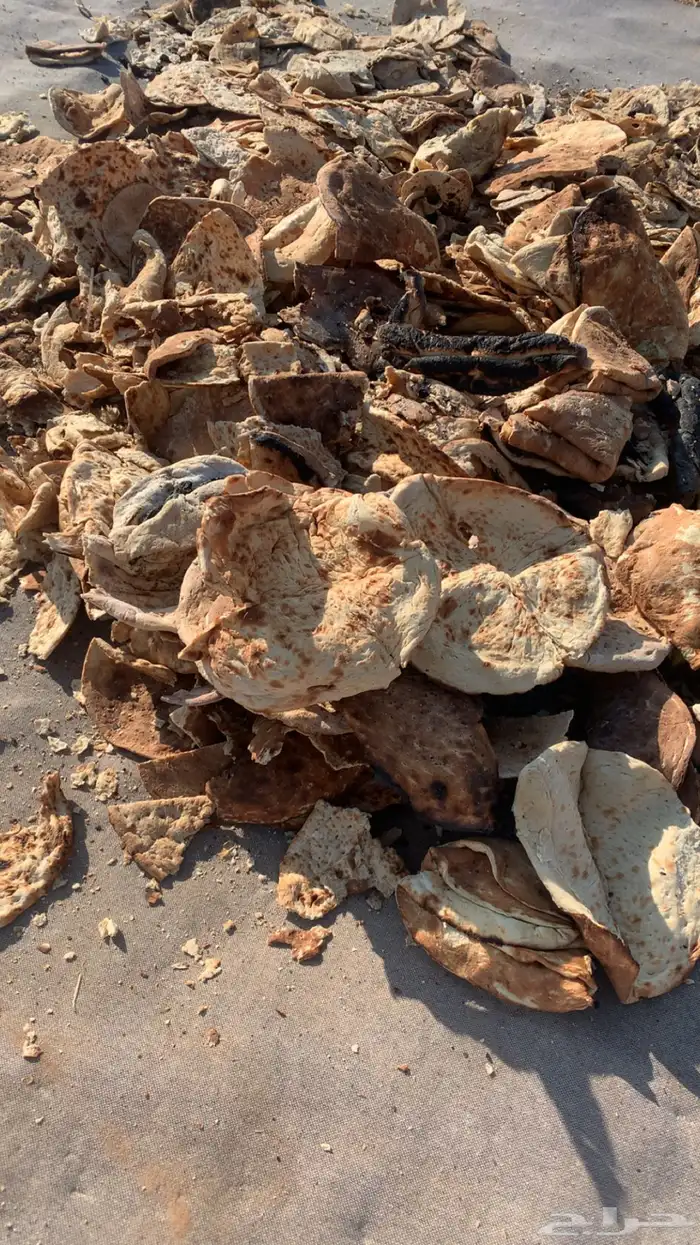 خبز تميس حول 25 كيس كبير مليان فل 1