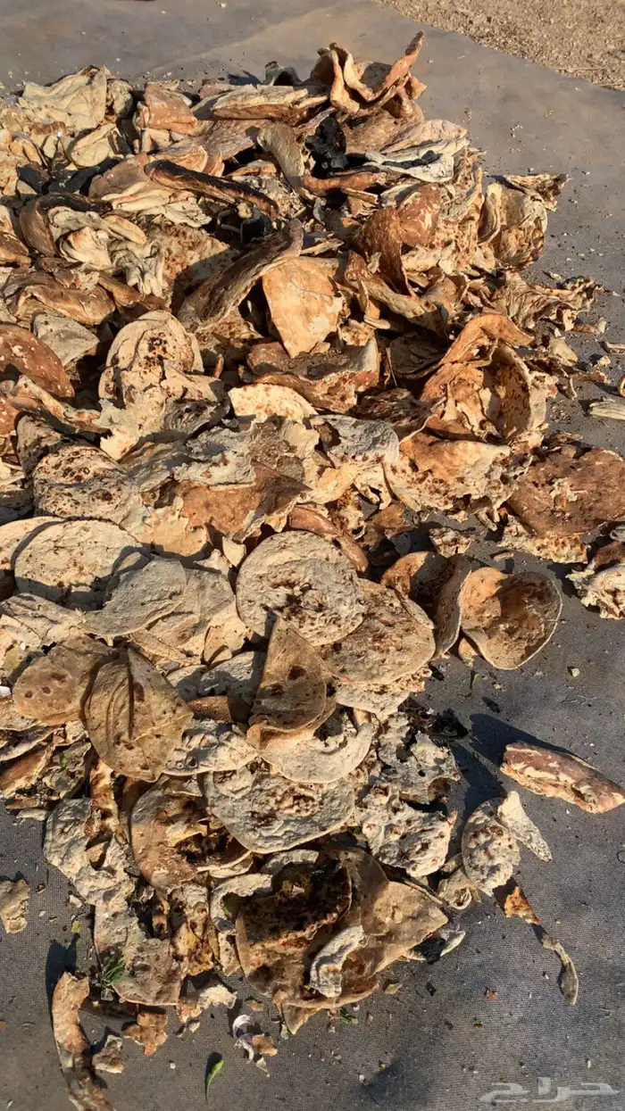 خبز تميس حول 25 كيس كبير مليان فل 2