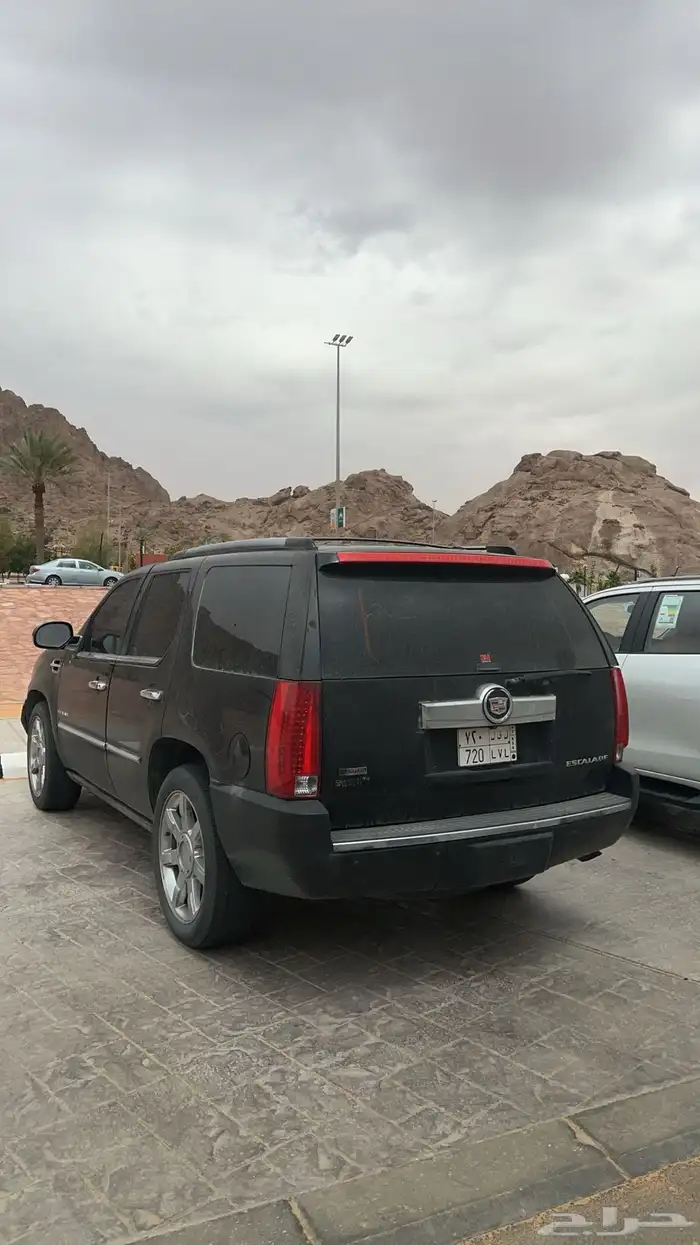 كدلك 2011 للبيع 3