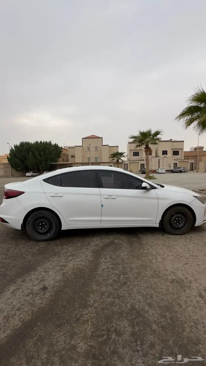 النترا ستاندر 2019 0