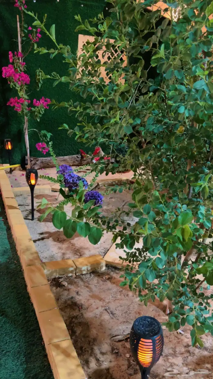 شاليه استراحه للايجار 35