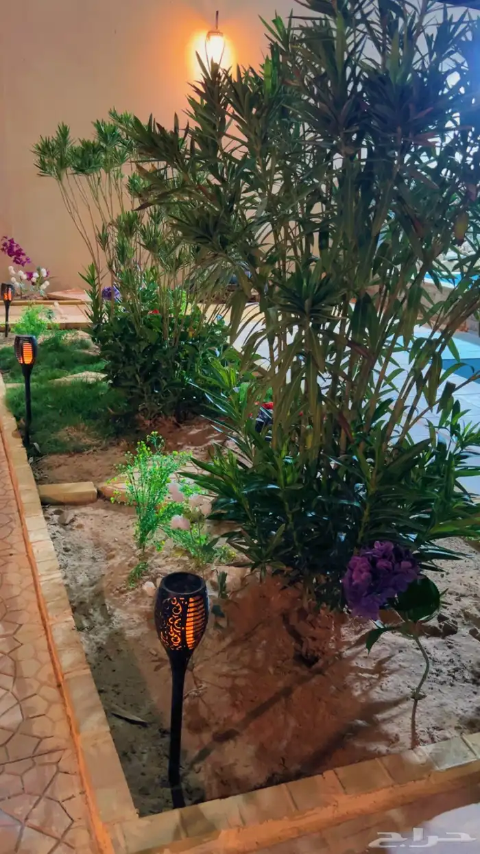 شاليه استراحه للايجار 36