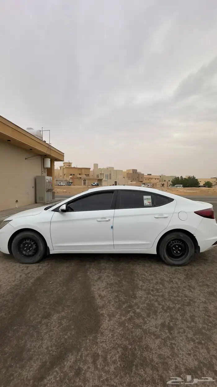 النترا ستاندر 2019 1