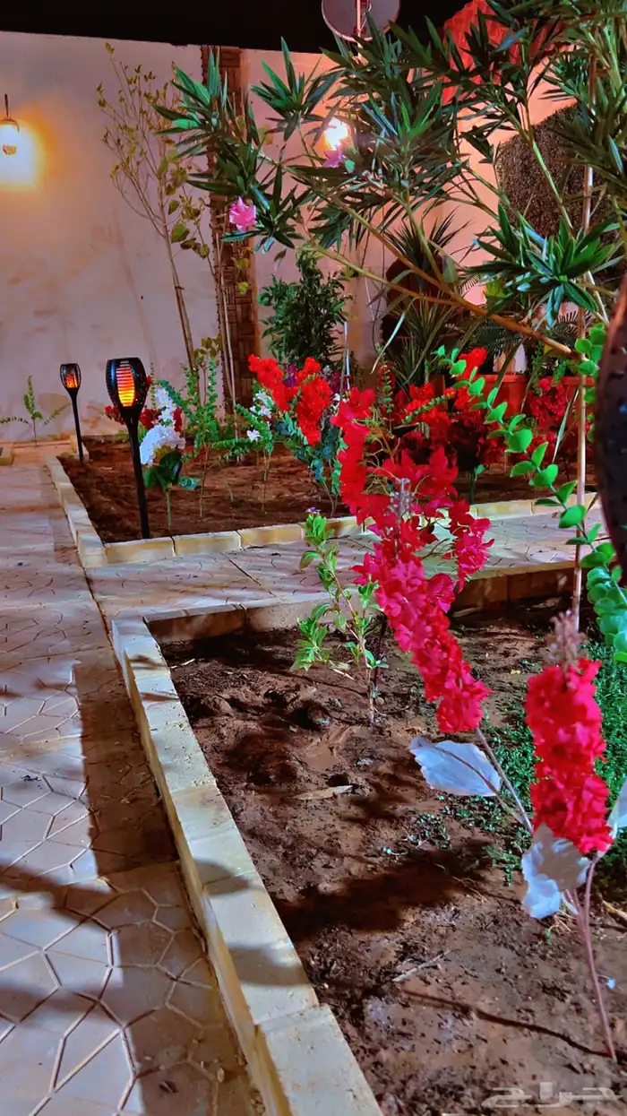 شاليه استراحه للايجار 52