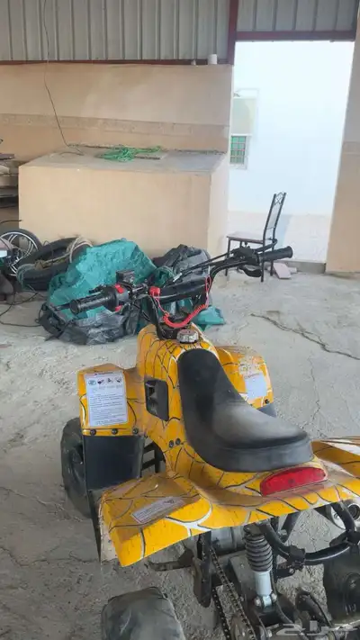 دباب للبيع index