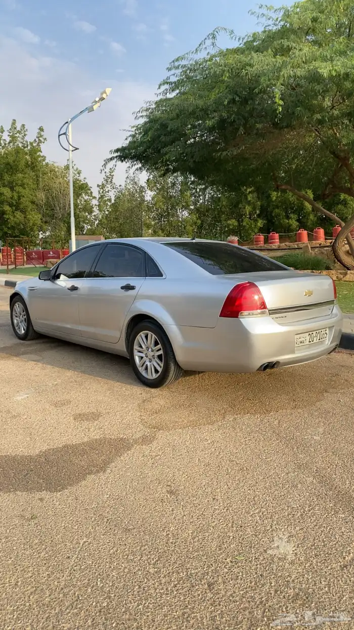 كابرس 2013 كويتي 2