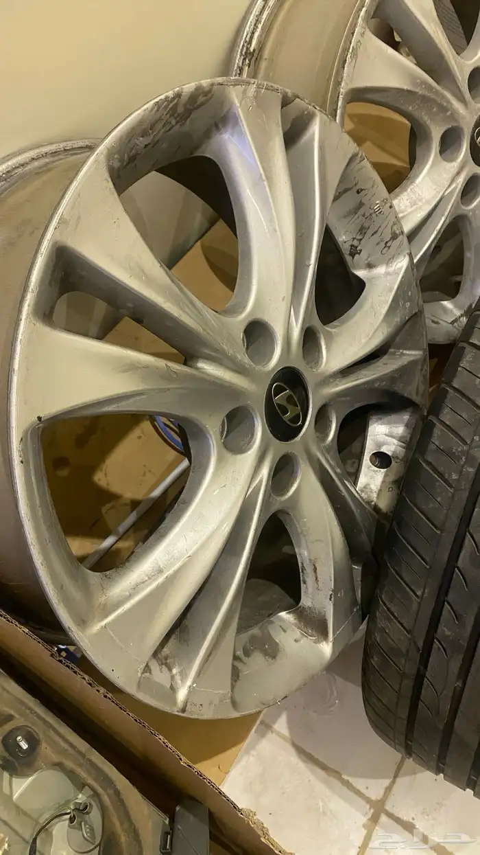 جنوط سوناتا 1