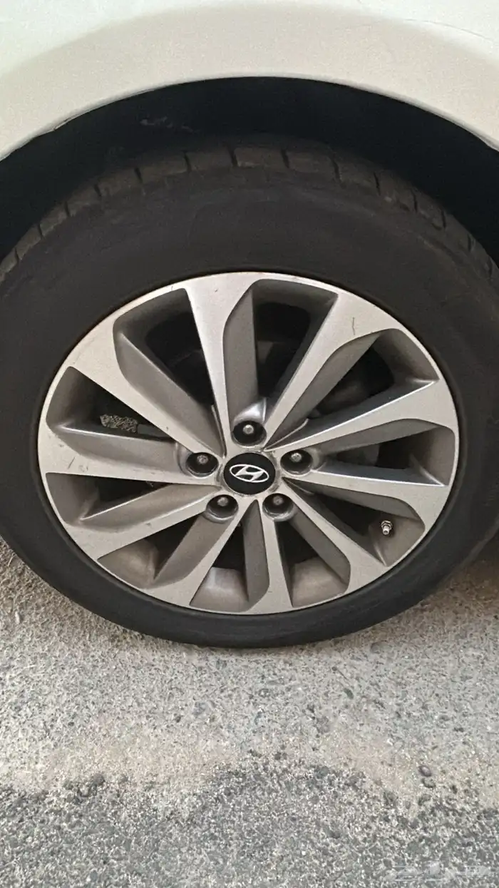 جنوط نص فل سوناتا من 2011 الى 2014 1