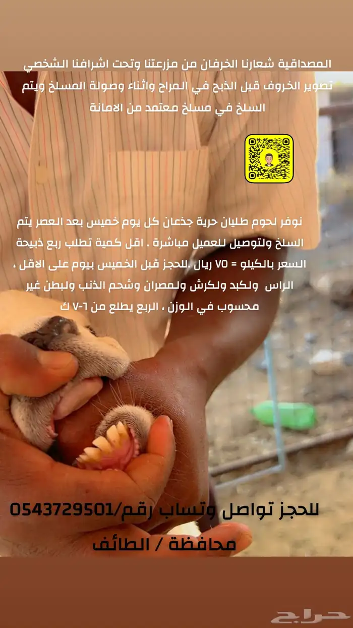 ذبائح ضيافة وثلاجة بالتقسيط ( تمارا) 2