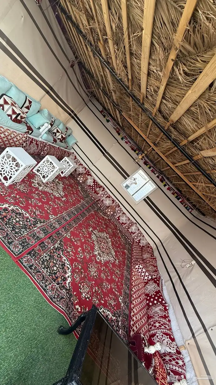 مخيم سترين 23