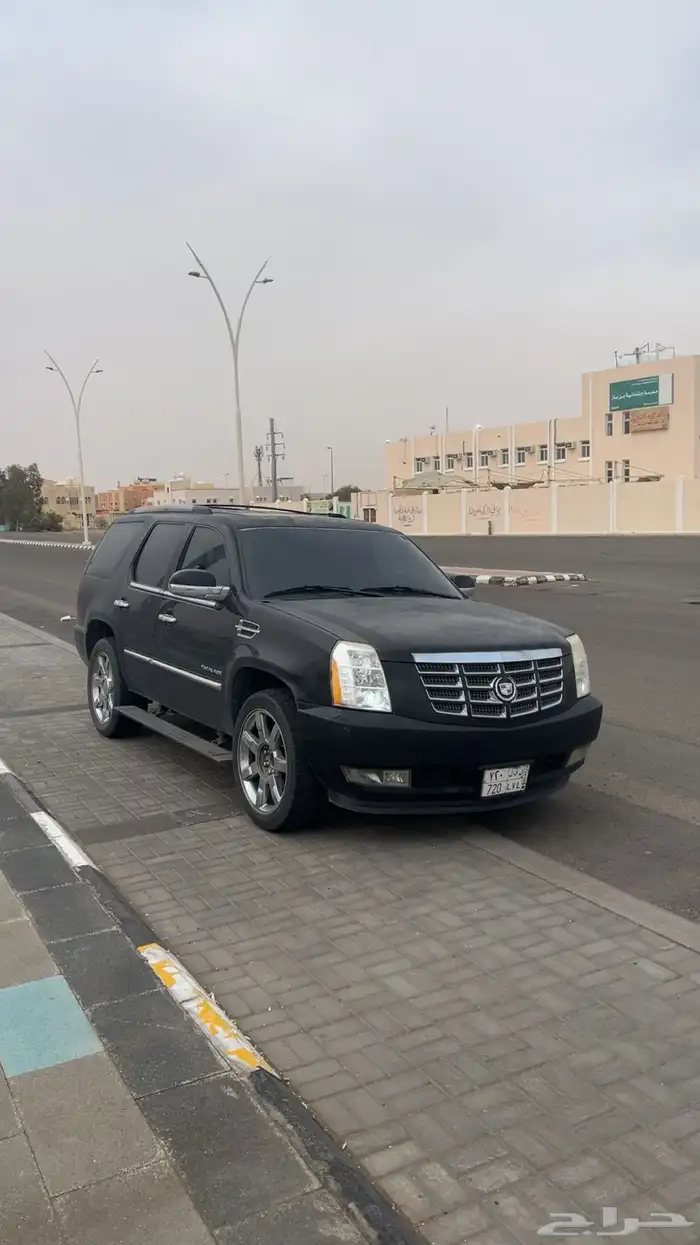 كدلك 2011 للبيع 4