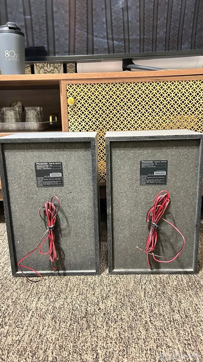 سماعات باناسونيك 1